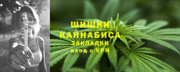apvp Аркадак