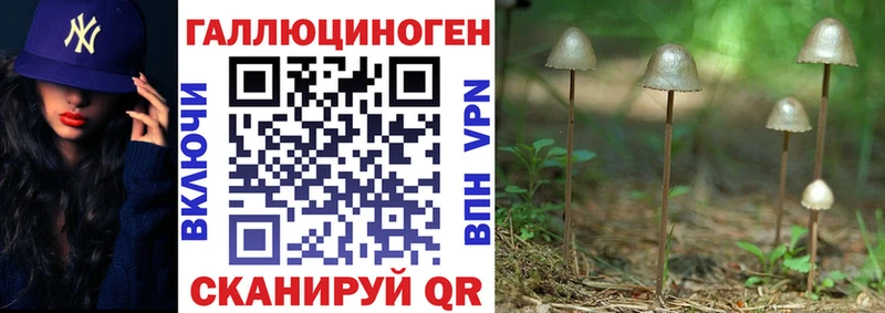 купить наркотики цена  Пролетарск  Галлюциногенные грибы Psilocybe 