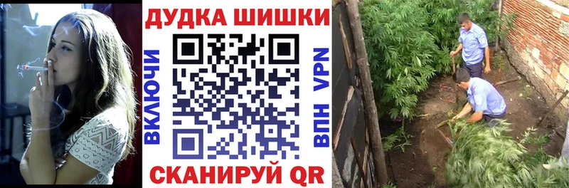 Бошки Шишки план Пролетарск