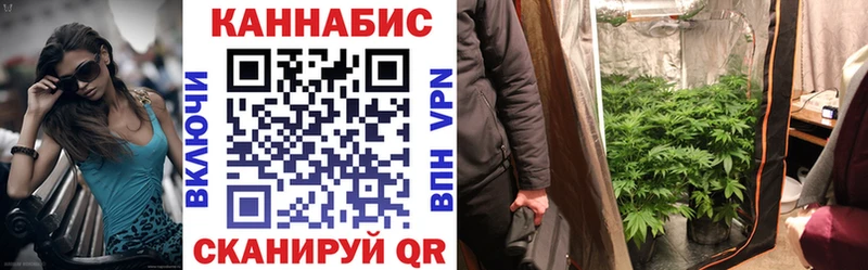 Шишки марихуана план  как найти закладки  omg маркетплейс  Пролетарск 